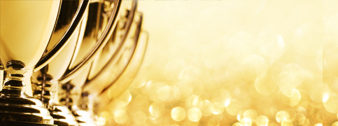 awards_483-x-180_gold2