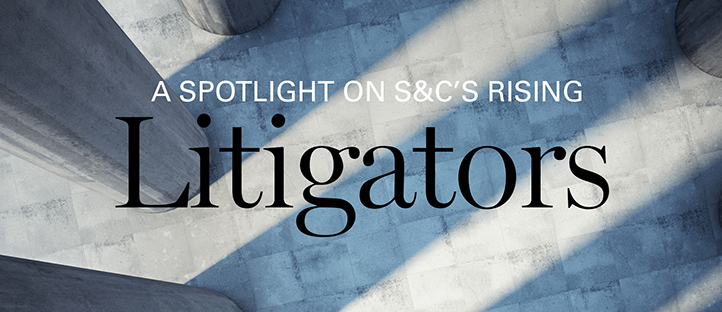 litigatorsbrochure_722x312